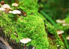 深入解析，试管婴儿过程中的血液分析检查及其关键作用